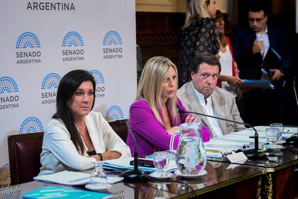 Los senadores Laura Rodríguez Machado, María de los Ángeles Sancsun y Álberto Werwtilneck