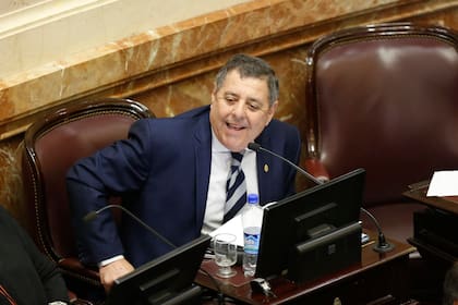 Alfredo de Angeli en el senado. Ahora, en su segundo mandato, ocupa la banca en primera fila que perteneció a Esteban Bullrich