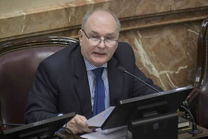 Ernesto Martínez reaccionó con dureza al apoyo de Elisa Carrió para Daniel Rafecas