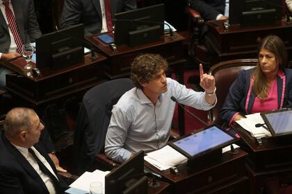 Senador Martín Lousteau.