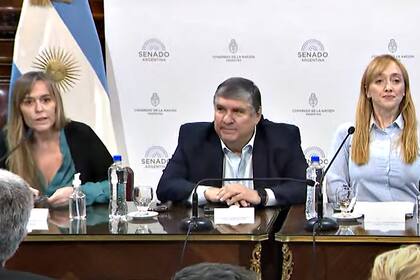 Senadores oficialistas