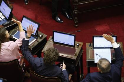 Senadores de la oposición, como Martín Lousteau, rechazaron el DNU 70/2023