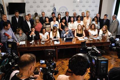 Senadores kirchneristas dieron una conferencia de prensa y cuestionaron a Victoria Villarruel