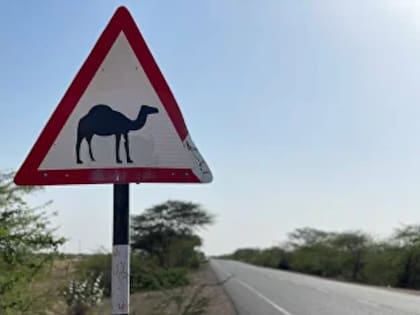 Señal de circulación de camellos en las Islas Canarias