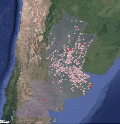 Senasa registra 920 brotes activos de encefalitis equina en 15 provincias; en la imagen, rojo indica los casos confirmados por laboratorio y, rosa, los casos por diagnóstico clínico