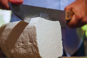 Senasa y Anmat frenaron la producción de un queso de una marca reconocida porque se detectó una bacteria