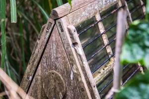 Sencillas pero eficaces: una caja de Ward de madera aquí entre un exuberante follaje