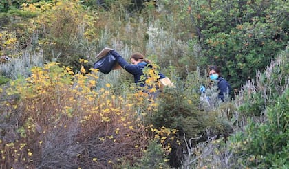 Senderos de difícil acceso en el operativo de captura de ejemplares del ratón colilargo en más de un centenar de puntos en Ushuaia