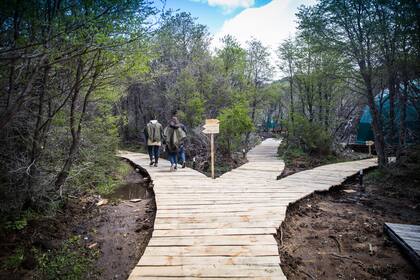 Senderos en el bosque, en la propiedad de Huemules.