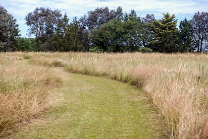 Senderos que recorren el pastizal natural, centro de biodiversidad, revelando su belleza cambiante a lo largo de las estaciones.