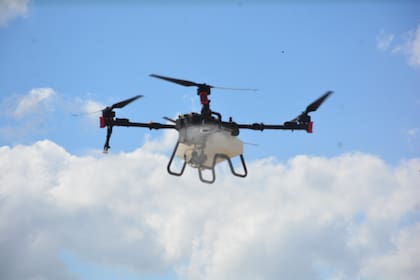 Sensores, datos y precisión: las nuevas herramientas que, según Ferrari, marcarán la agricultura hacia 2050