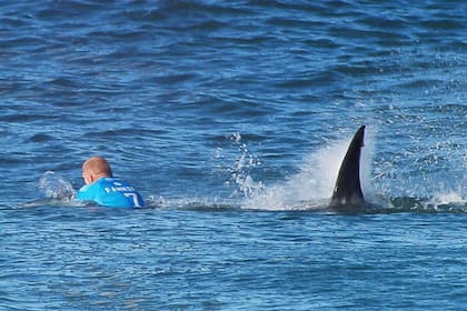 El incidente entre el tiburón y Mick Fanning, australiano, 34 años, dio por terminado el abierto de Jeffreys Bay