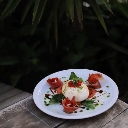 Sentite en la selva mientras compartís delicias como esta burrata.