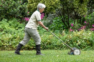 Cinco semillas de rápido crecimiento para un césped exuberante
