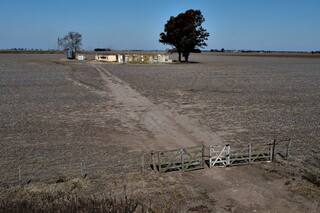Pese al fin de la Niña, la salida al golpe productivo será paulatina