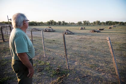 Gustavo GIailevra , productor agropecuario de la localidad de Pozo Borrado, cerca de Tostado, que sufrió los efectos de la sequía el año pasado

