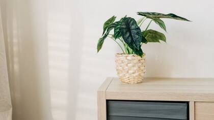 ¿Será este el mejor lugar?