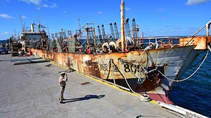 Será utilizado como parque submarino