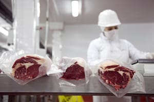 Revuelo por un polémico cambio en una cuota para exportar carne a Europa