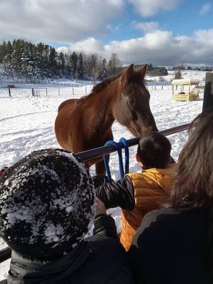 La equinoterapia demuestra beneficios adicionales para quienes tienen dificultades emocionales y/o motoras