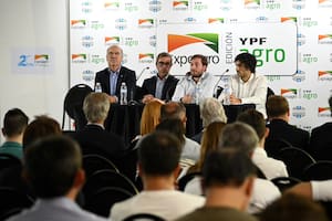 El equipo económico de Luis Caputo negó un “aluvión” de compras al exterior