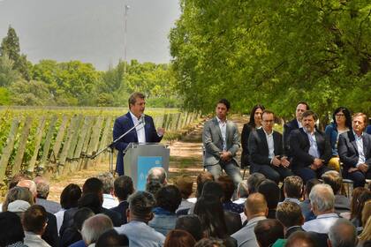 Sergio Massa anunció un dólar especial para economías regionales,  en Mendoza, en Luján de Cuyo