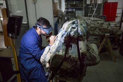 Sergio Medrano es Licenciado en conservacion y restauracion de bienes culturales. Trabaja en los mascarones Venus y Eolo en el Instituto de Investigaciones culturales IIPC de la UNSAM.