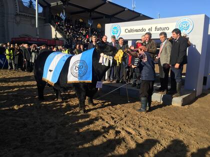 "Serrucho", el Gran Campeón Angus