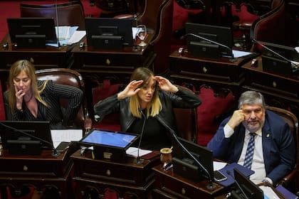 Sesión del Senado para tratar el proyecto de ley de Ficha Limpia que finalmente no se aprobó. Di Tullio, Sagasti y Mayans.
07/05/2025