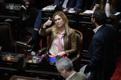 Sesión en Diputados donde se debate el conflicto en el Hospital Garrahan, la problemática de las jubilaciones y la emergencia en discapacidad