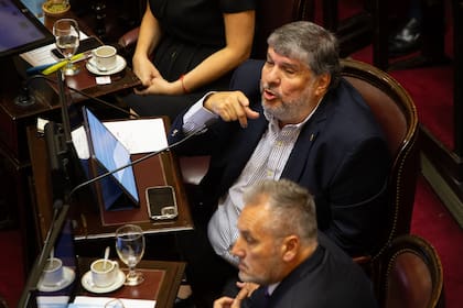 Sesión en el senado
Mayans