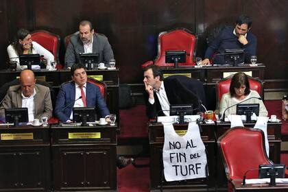 Sesión en el Senado de la Provincia de Buenos Aires por el tema de subsidios al turf