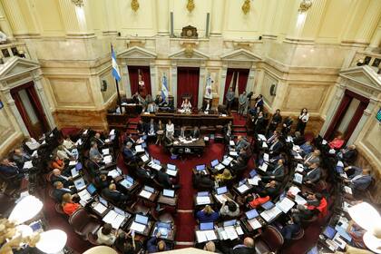 Sesión en el Senado por la ley de emergencia económica