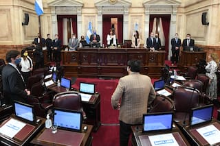 Senado. El oficialismo aprobó la ley de concursos y quiebras: excluye a Vicentin