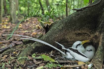 Seychelles no quiere turistas: busca controlar al sector para cuidar del medio ambiente