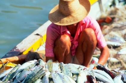 Seychelles prohibió las pesca en casi la mitad de sus áreas marinas protegidas