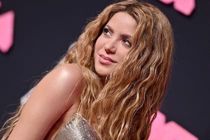 Shakira posee una fortuna que superaría los 300 millones de dólares (Photo by Axelle/Bauer-Griffin/FilmMagic)