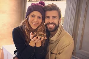 Shakira vs. Piqué: ¿qué dice la carta astral de cada uno de ellos?