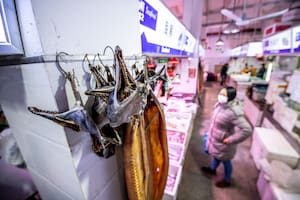 Los puntos oscuros del origen del Covid-19 y las teorías conspirativas que reaparecen en el tablero mundial