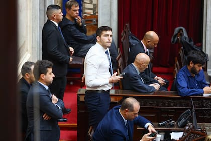 Sharif Menem en la Cámara de Diputados
