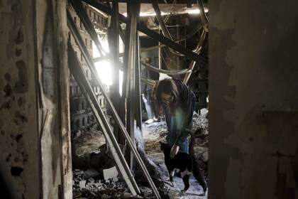 Sharon Alony Cunio se reúne con su gato, Elvis, el lunes 15 de enero de 2024, en las ruinas de su casa en Kibbutz Nir Oz desde donde fue secuestrada con sus hijas y su esposo el 7 de octubre de 2023. Militantes de Hamas (AP Photo/Maya Alleruzzo)�