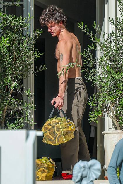 Shawn Mendes, relajado y sin camisa, disfruta de un momento discreto mientras recibe una entrega de lea cortada en su casa de Los ngeles