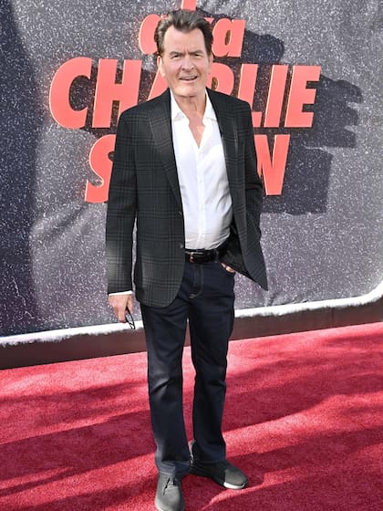 Sheen convocó a Richards para que brindara su testimonio en el documental