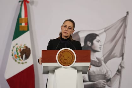 Sheinbuam anunció que cederá su entrada para el Mundial 2026 durante una conferencia de prensa