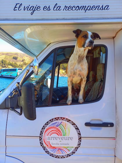 Sheldon, el perro Colombiano en el auto, testigo del momento en que cruzaron el Titicaca, en Bolivia.