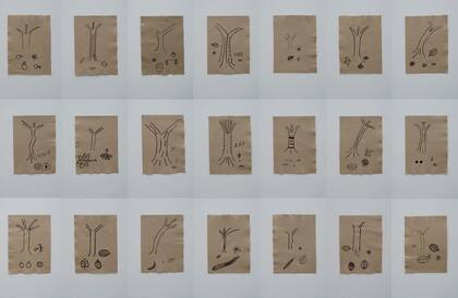 Sheroanawe Hakihïwe, Conjunto de Frutas de Selva / Jungle Fruit’s suite, 2018