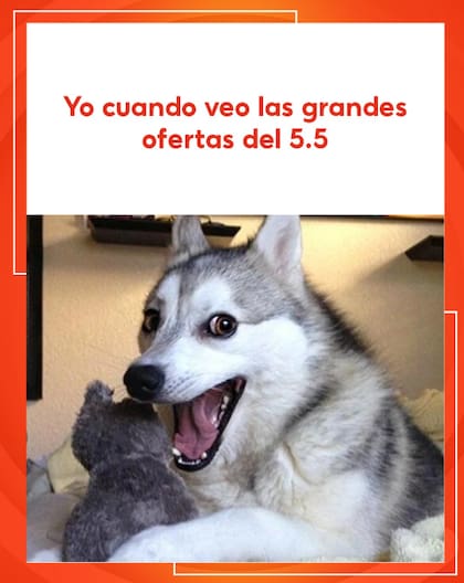 Shopee ofrece ofertas especiales en ciertas fechas (Foto: @shopee_ar)