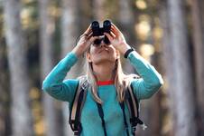 La forma ideal de observar aves este verano: todos los tips y consejos