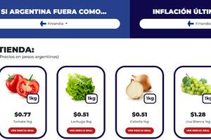 "Si Argentina fuera", el sitio web que muestra cómo serían los precios en Argentina con la inflación de otros países