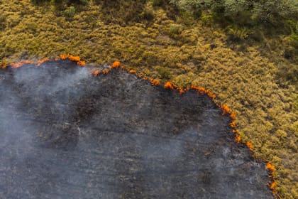 Si bien el fuego es a menudo un proceso natural para manejar la vegetación, nueve de cada 10 de los incendios del Amazonas en 2020 siguieron la intención de convertir la selva tropical en tierras de uso comercial